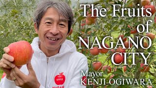 The Fruits of NAGANO CITY－ダイジェスト版－