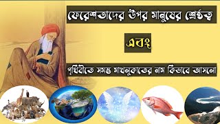 ফেরেশতাদের উপর মানুষের শ্রেষ্ঠত্ব এবং সমস্ত মাখলুকাতের নামকরণ। মানুষ।মাখলুকাত।