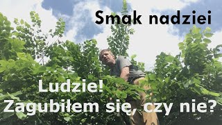 Zgubiłem, czy znalazłem. Smak nadziei 1