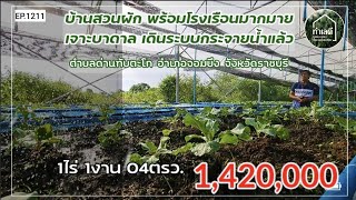 EP.1211 บ้านพร้อมที่ดินและโรงเรือนฟาร์มผัก มีบ่อบาดาลในแปลงราคา1,420,000บ. อ.จอมบึง จ.ราชบุรี