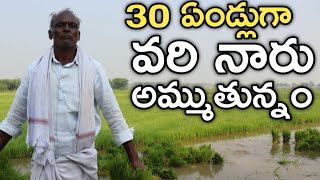 వరి నారు పెంచి అమ్మడమే మా ప్రధాన వ్యవసాయం | Paddy Nursery | రైతు బడి