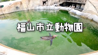 【福山市立動物園】可愛い動物たち。カピバラの毛はタワシ！？