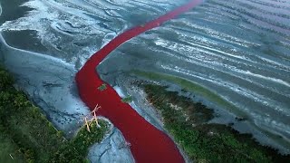 Argentina: il ruscello Sarandì si tinge di rosso, paura per l'inquinamento