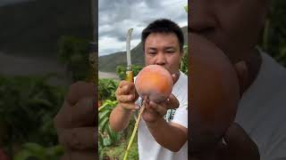 breaking a mango#farmar#farming#fruits#vegetable#shorts#pakistan