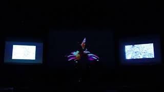 Sabiwa live audio-visual performance - DaBa