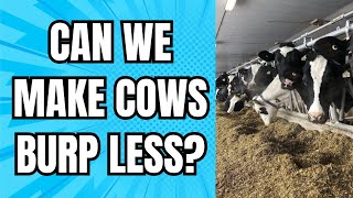 How do we reduce methane, let us count the ways
