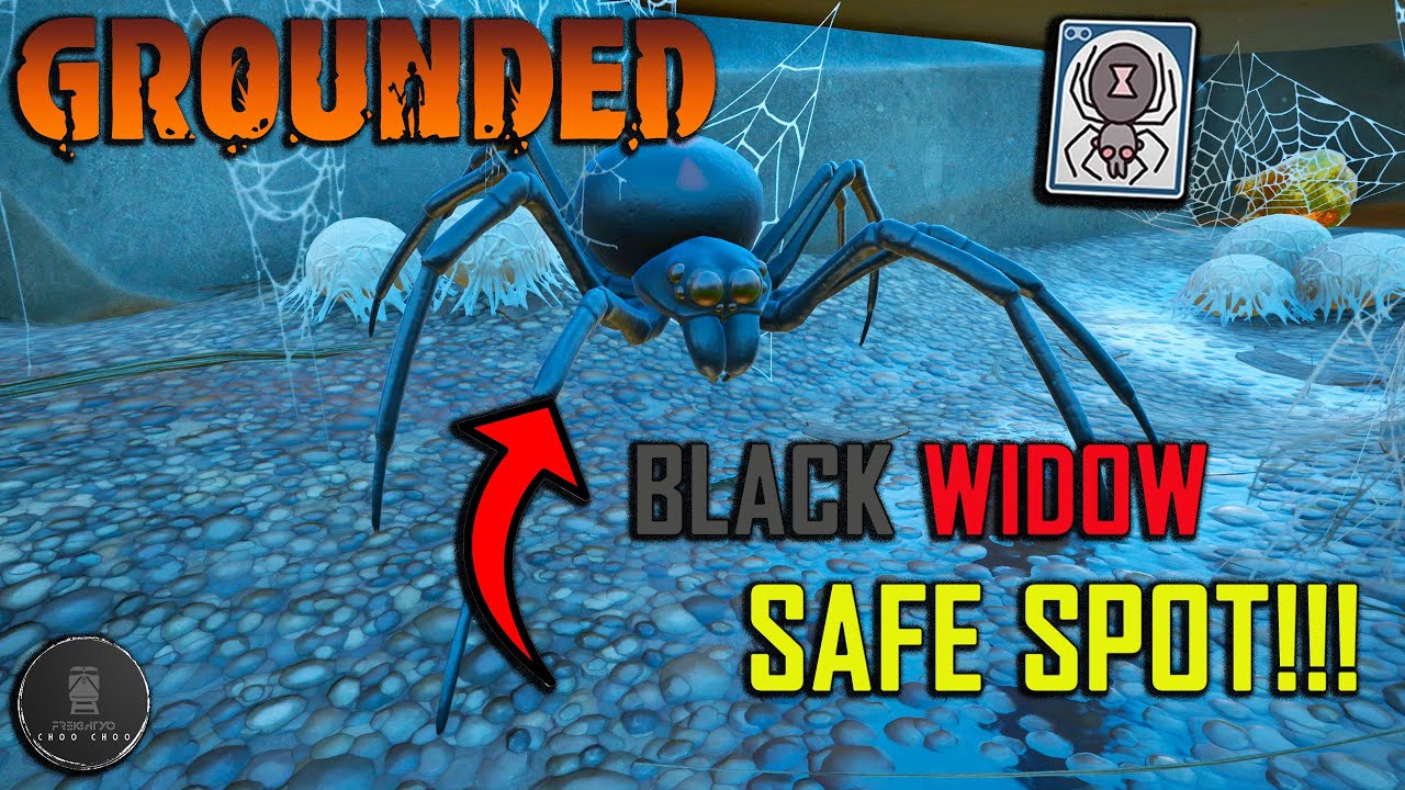 Grounded Black Widow Safe Spots! - YouTube