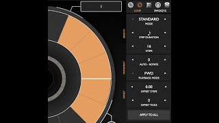 Patterning 3 - Loop Settings