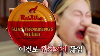 세계 악취 음식 1위 수르스트뢰밍 먹어봤습니다…촬영하다가 다 도망감