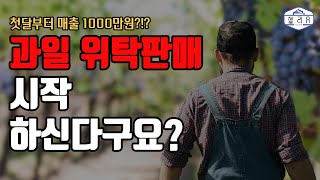 산지 과일 위탁판매 하려면 무조건 봐야하는 영상. 과일위탁 시작전이라면 반드시 보세요.