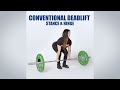 Basics of the Deadlift | #1 Stance