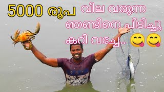 5000 rs വിലവരുന്ന ഞണ്ടിനെ പിടിച്ചു കറിവച്ചപ്പോൾ /giant mud crab...