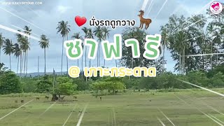 นั่งรถดูกวาง ตะลุยซาฟารี เกาะกระดาด กลางทะเลตราด