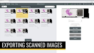 Exporting scanned images – Grundium Ocus® digital microscope scanners