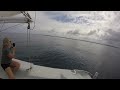 tassie’s second sail with her new wingmasts at wathumba creek fraser island.