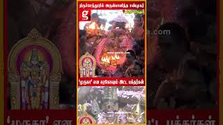 திருச்செந்தூரில் எழுந்து அருளிய சுப்பிரமணியர் Tiruchendur | Murugan | Festival