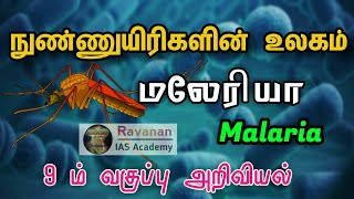 நுண்ணுயிரிகளின் உலகம் | மலேரியா-Malaria | அறிவியல் | 9th Science