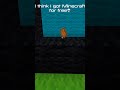 I Think I Got Minecraft For Free #minecraft #memes #funnyshort #wool #minecraftfree #best