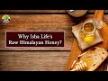 fake honey vs real honey easy quality check at home isha life honey a taste of well being