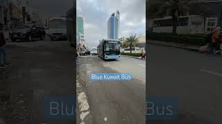 Blue Kuwait Bus #shorts