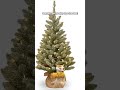 national tree company pre lit artificial mini christmas tree includes small white led lights and cl