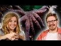 Animal With 750 LEGS!? | You Asked | Earth Unplugged