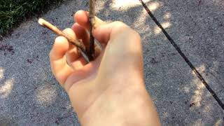 Twig go snap
