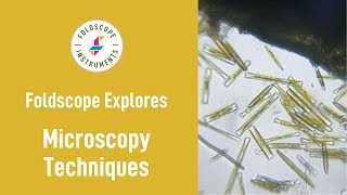 Foldscope Explores: Microscopy Techniques 🔬