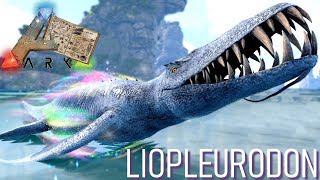 LIOPLEURODON - TAMING/CAPACITÉS [Dino Dossier 📖]