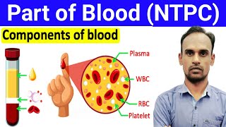 Parts of Blood!! Components of Blood!! रक्त के भाग Science, NTPC 2024-25 Exam ll