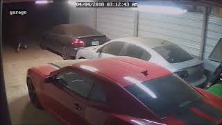 Would-Be Lubbock Thieves Caught on Video