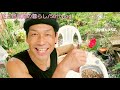 【きみぽん菜園生活 50代vlog＃211】種から栽培 自然栽培 菜園でランチ カセットコンロ