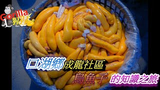 台灣美食 烏魚子 烏魚卵到烏魚子的製作 觀樹基金會 烏金的秘密