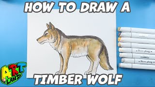 How to Draw a Timber Wolf