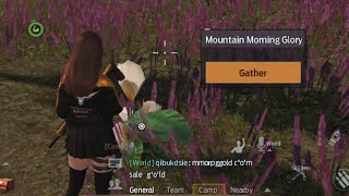 Undawn: Where To Find The Flowers For Camp Request for Supplies/ Pt.1: Mountain Morning Glory