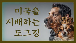 미국을 지배하는 도그킹 (노딱)