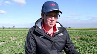 FMC's Simonne Read discussing the performance of Overwatch Herbicide at the Roseworthy trial site