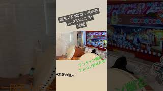 一般玄人による幽玄の900コンボ地帯通った‼️#太鼓の達人#玄人 #幽玄ノ乱