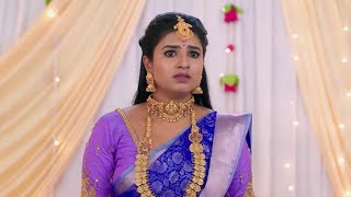 Karthigai Deepam Serial Today Episode - December 23, 2024