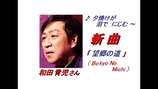 和田 青児さんの新曲「望郷の道( Bokyo )No Michi ) (一部歌詞付）」'20/02/05発売新曲報道ニュースです。