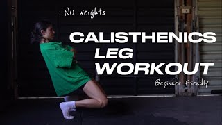 CALISTHENICS LEG WORKOUT - NO WEIGHTS, beginner friendly