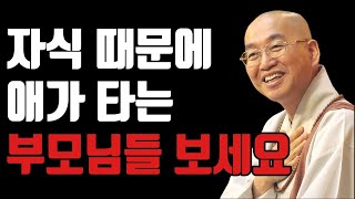 법륜스님 즉문즉설 | 자식 때문에 애가 타는 부모님들 보세요 | 오디오북