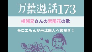 【万葉週話 173】橘諸兄さんの紫陽花の歌（モロエもんが丹比国人へ言祝ぎ）