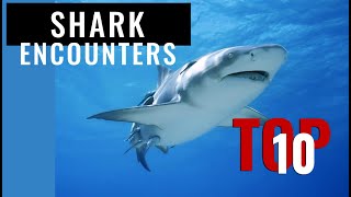 Scuba Diving with Sharks. TOP 10 AMAZING Shark Encounters | Global Underwater Explorers
