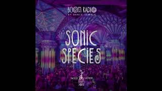 SONIC SPECIES - Live Set@Boom Festival 2018 Dance Temple 12 [Psychedelic Trance]
