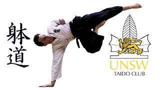 UNSW Taido Club 2020 PV