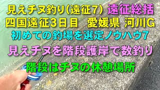 見えチヌ釣り（遠征７）四国遠征の３日目に愛媛県の最後の河川Ｇでチヌが好む階段構造の護岸の釣り方と遠征のまとめを紹介【前打ち／ヘチ釣り／落とし込み／河川／クロダイ／カニ／釣り方／サイトフィッシング】