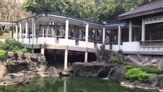 WVU Chris Hickey- Study Abroad: Lingnan University Campus (4/11/14)