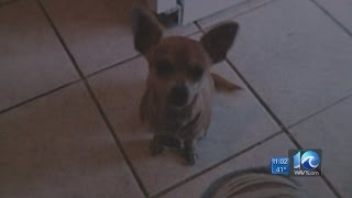 Eastern Shore family of euthanized dog sues PETA