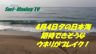 山口萩サーフィン 4月4日夕方 期待できそうなウネリがブイレイク  ~サーフモンキーTV